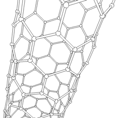 Carbon-carbon nanotube