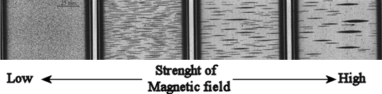 Magnetorheological particles