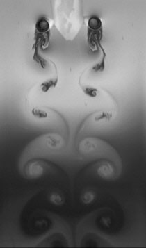 Particle Image Velocimetry